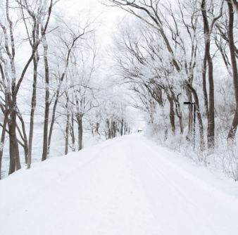 screenshot-2025-12-04-at-2.40.30---am